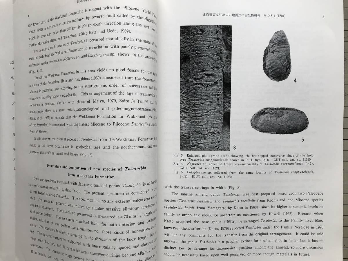 『北方科学調査報告 北方圏の自然と文化の研究 8』天塩町・天塩川・シベリアの中期旧石器文化について 他　筑波大学　1987年刊　04213_画像4