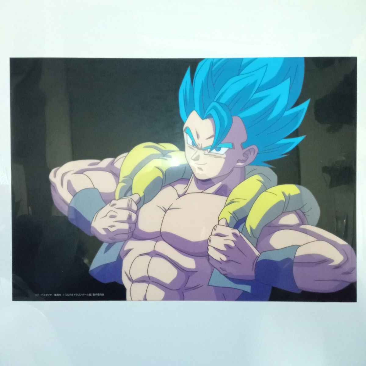 ドラゴンボール ゴジータ セル画 原画 2枚セット