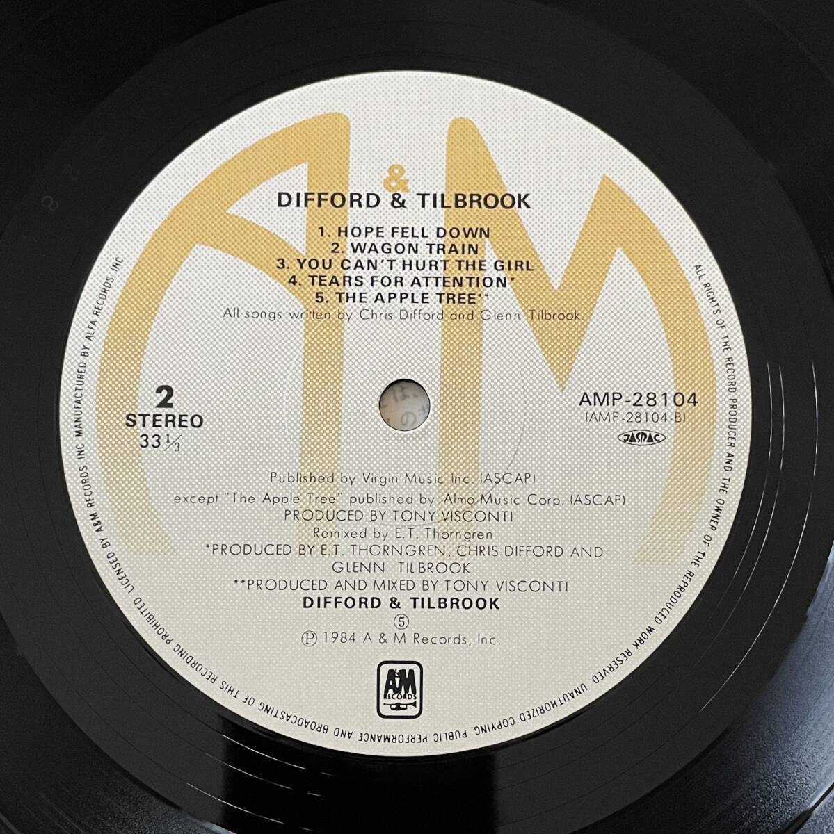 格安！！帯付き★国内盤 ディフォード & ティルブルック【Difford & Tilbrook】／DIFFORD & TILBROOK レコード番号：AMP-28104の画像4