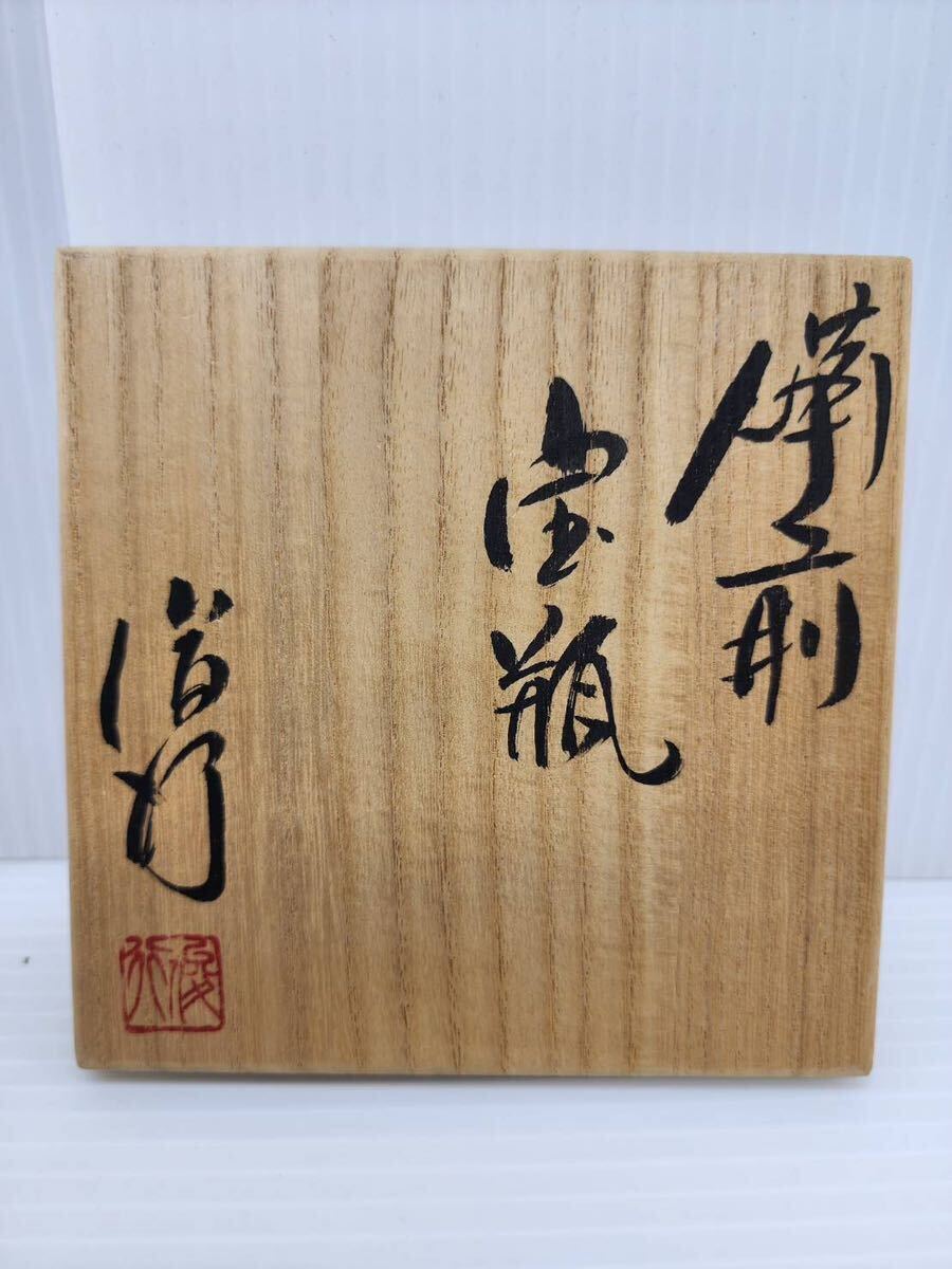 宝瓶 乗松 建行 造 備前焼 急須 茶道具 煎茶道具 茶器 陶器 共箱_画像9