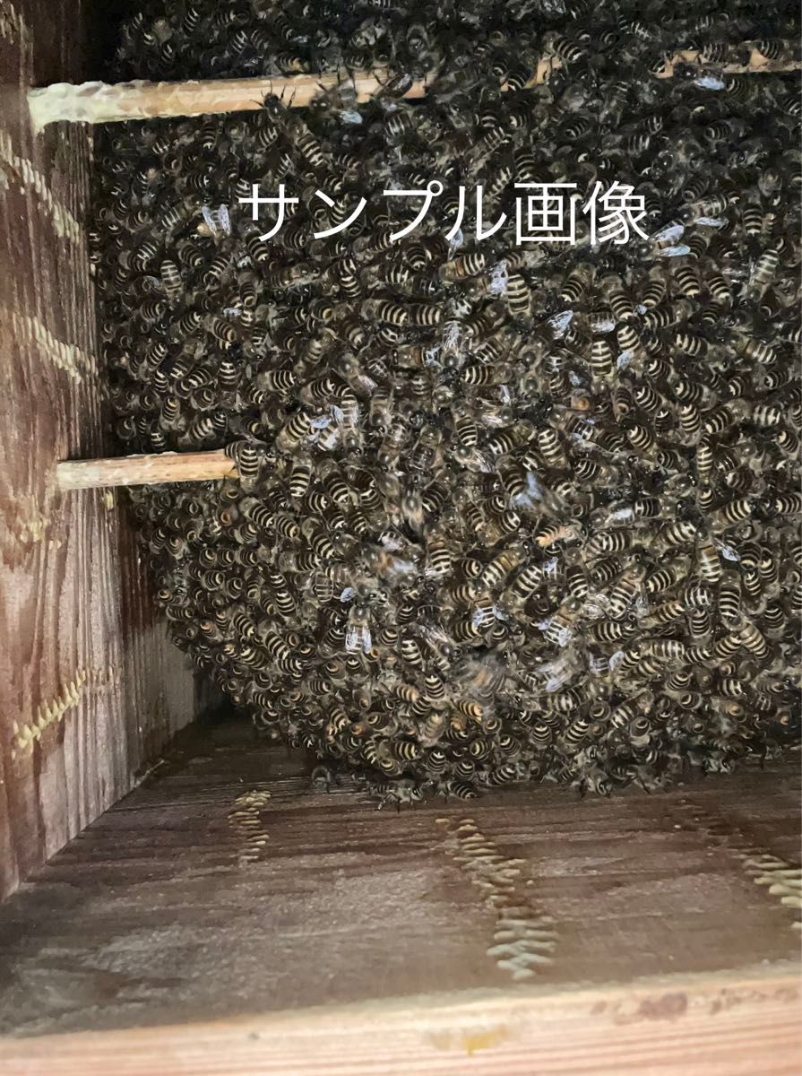日本蜜蜂重箱式巣箱の継箱三箱！ハニーズハウス用！送料無料！