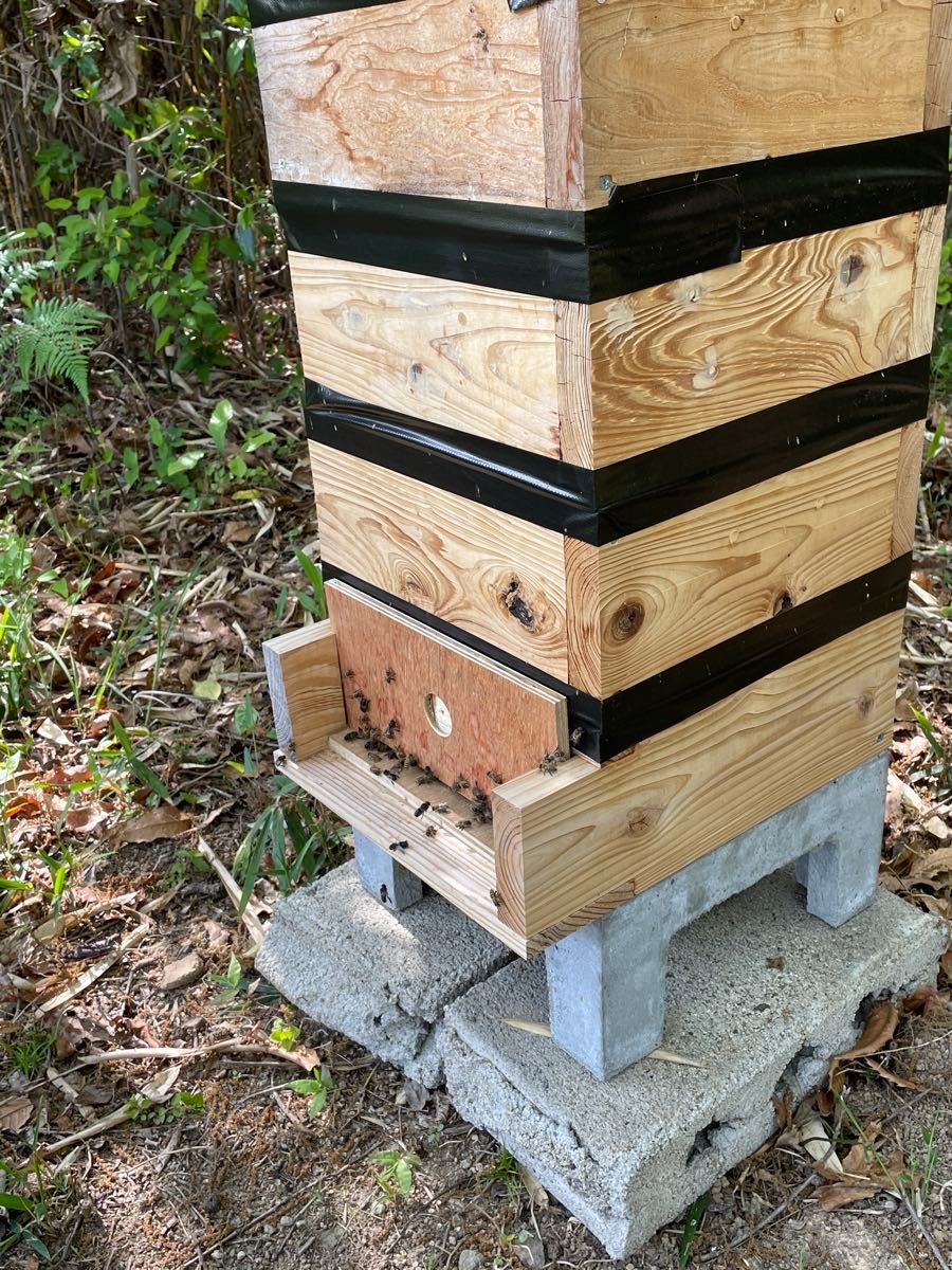 日本蜜蜂重箱式巣箱の継箱三箱！ハニーズハウス用！送料無料！