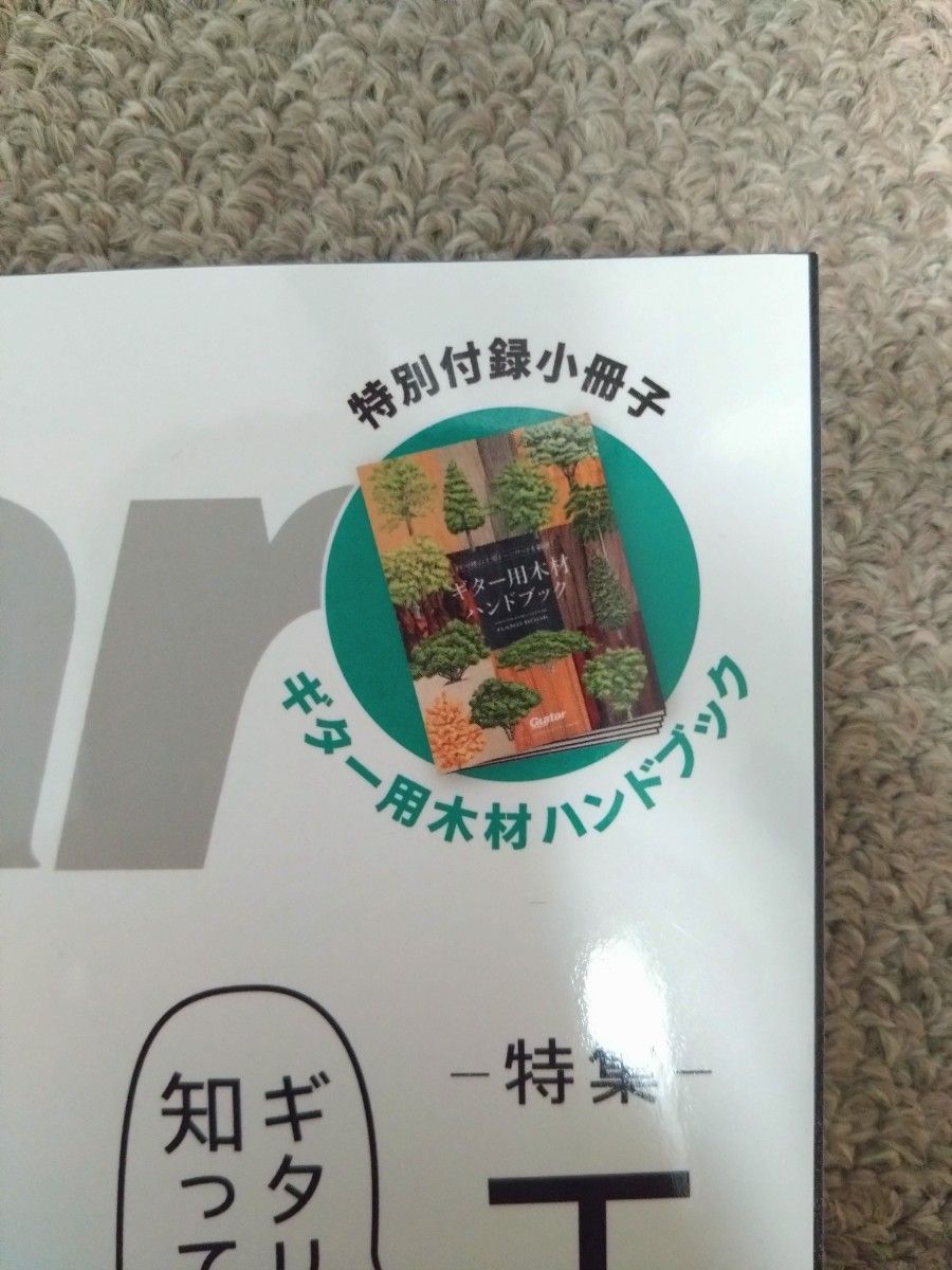 ギターマガジン　2024年1月号　エレキギターと木材の話　　木材ハンドブック