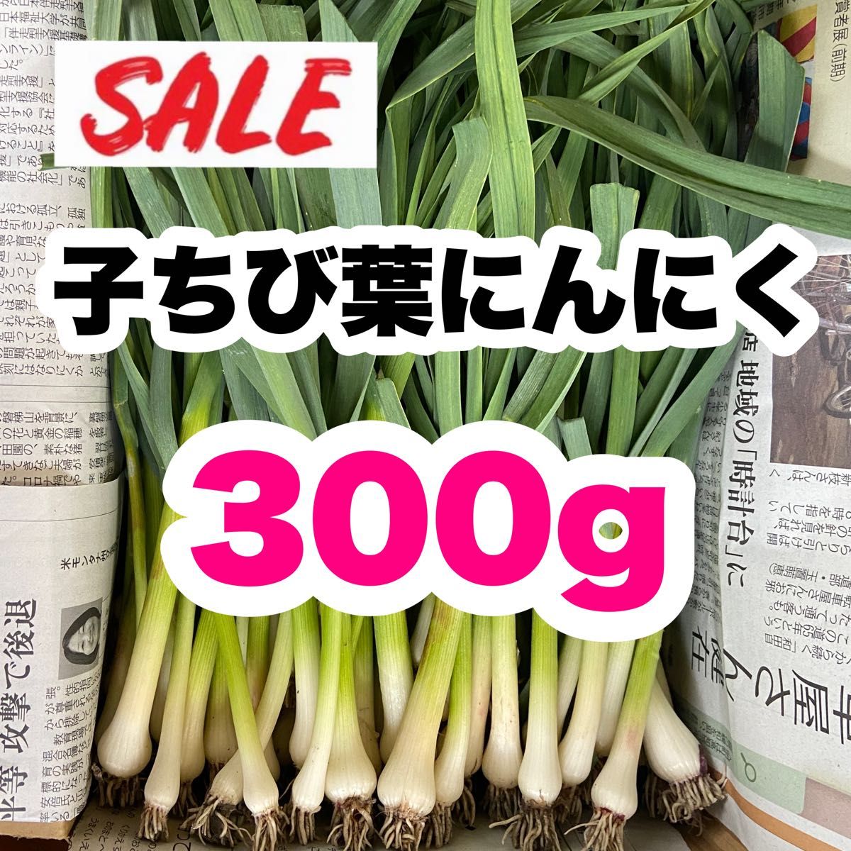 【農家直送】子ちび葉にんにく 300g 即購入OK mde1