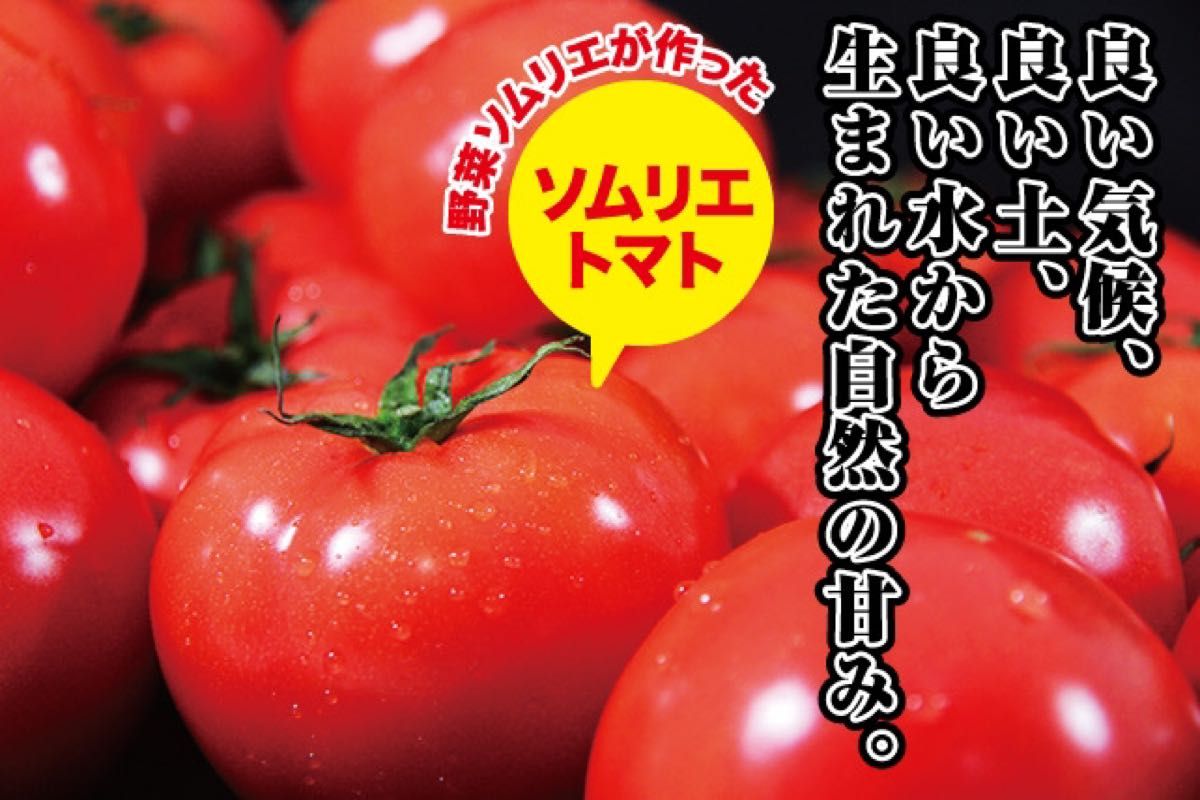 受賞歴３回！訳ありソムリエトマト4.5kgから6.5kg（16玉から32玉) 3.のオマケ