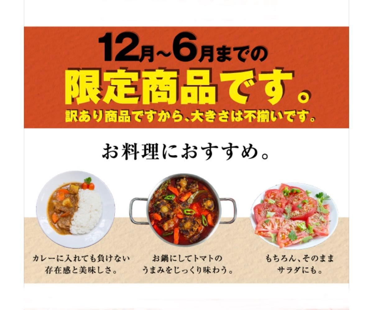 【規格外】ソムリエトマト　小玉4.5〜6.5kg（約60玉〜90玉）