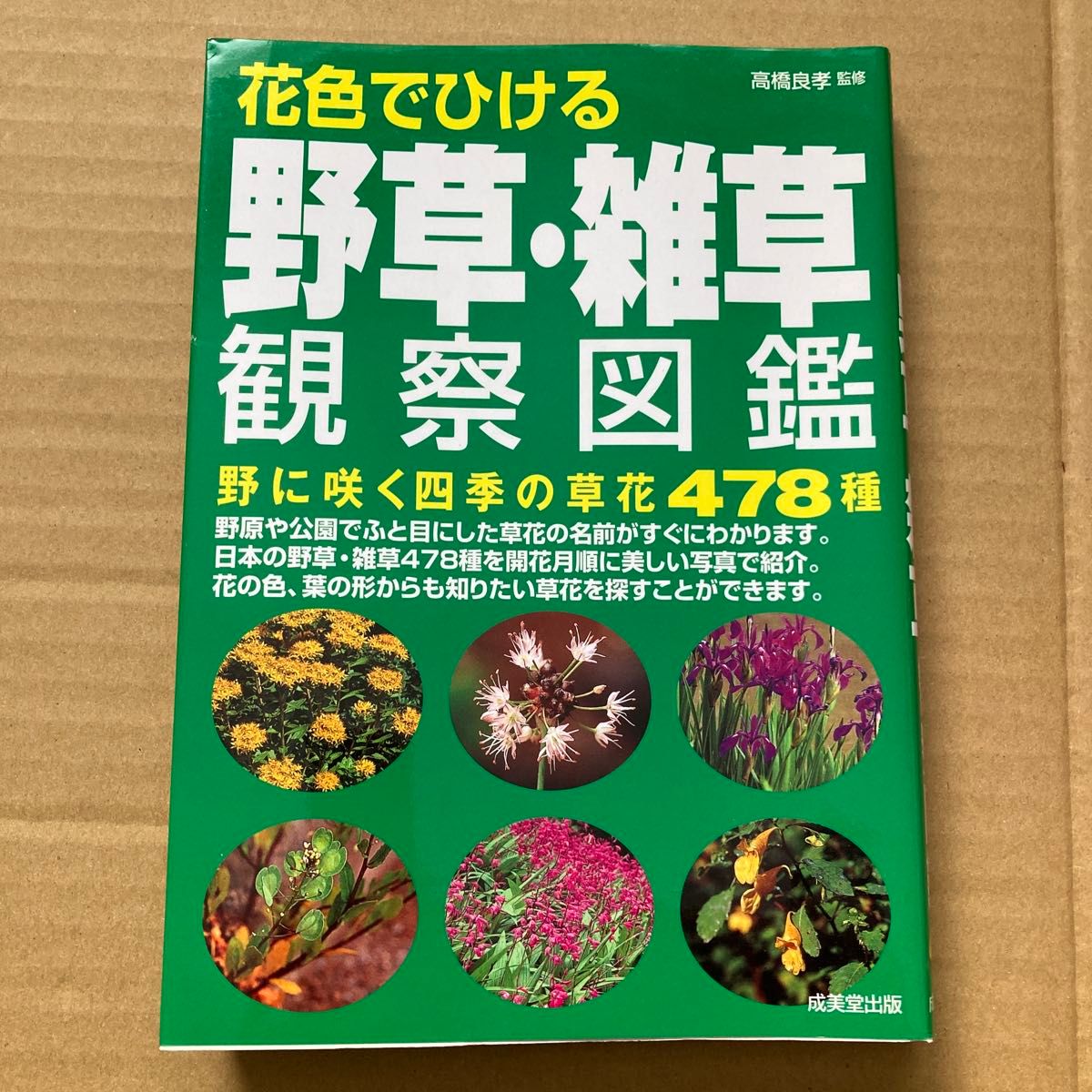 花色でひける野草・雑草観察図鑑　野に咲く四季の草花４７８種 高橋良孝／監修