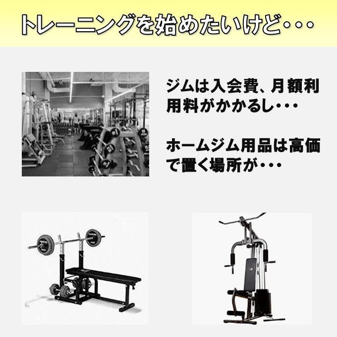 低～中負荷 廉価版 筋力トレーニングチューブセット エクササイズ フィットネス_画像2