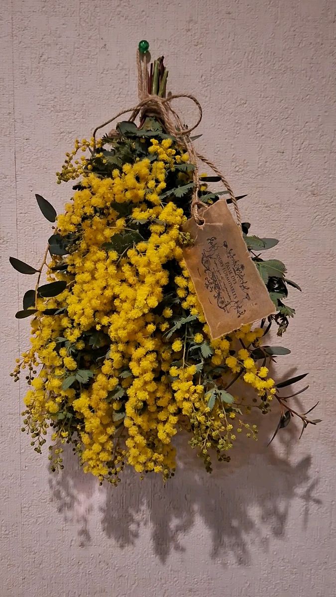 ミモザ ドライフラワースワッグ　フラワー　　ドライフラワー　ミモザ　インテリア　黄色い花　お早めにお願いします　
