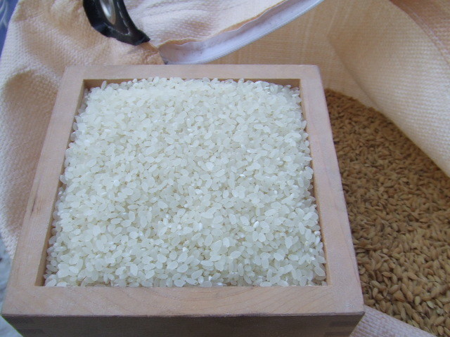 【白米】長野県産ブレンド米30キロ（10キロ×3袋）長野産米100％ つきたてをお届けします！！_画像3