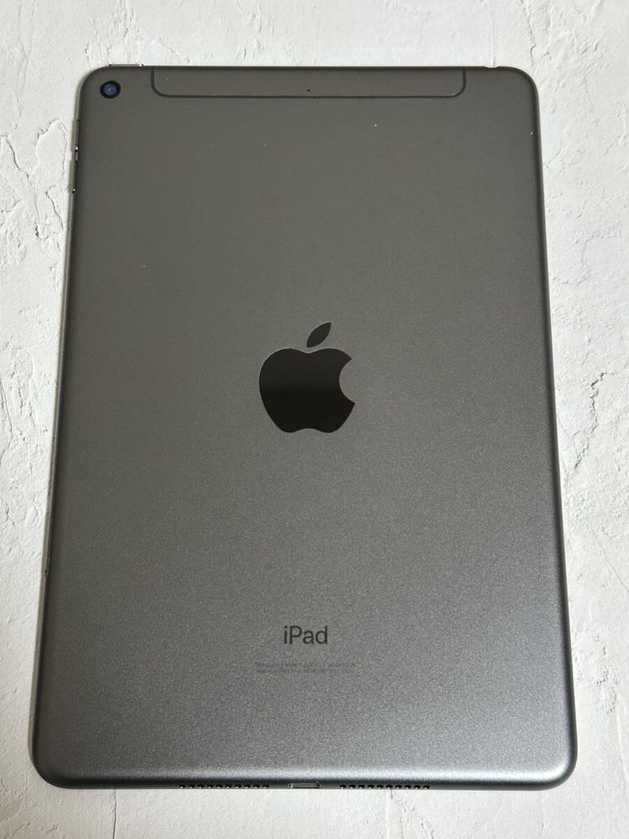 iPad mini 5世代 64GB セルラーモデル スペースグレー sku07の画像2