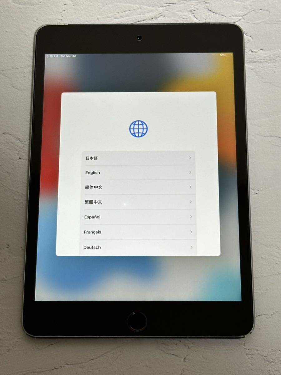 iPad mini 4世代 128GB セルラーモデル スペースグレー sku10の画像1