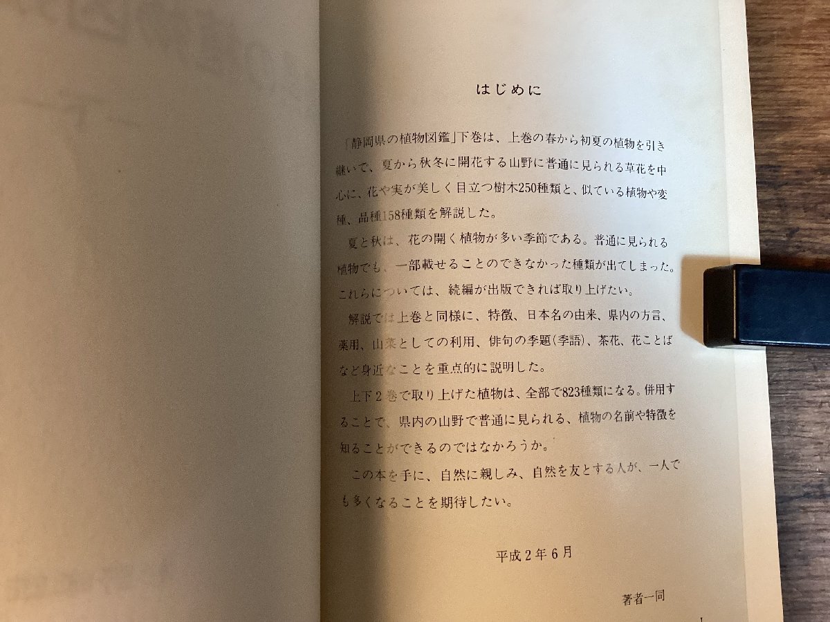 HH-7978■送料込■静岡県の植物図鑑 杉野孝雄・編 上 下 2冊まとめて 1990年 静岡県 花 草 果実 植物 図鑑 写真 時期 特長 解説 /くFUら_画像8