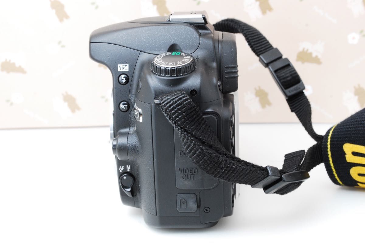 美品 ショット極少 Nikon D80 高性能デジタル一眼レフカメラ 美品 ショット極少 Nikon D80 高性能デジタル一眼レフカメラ