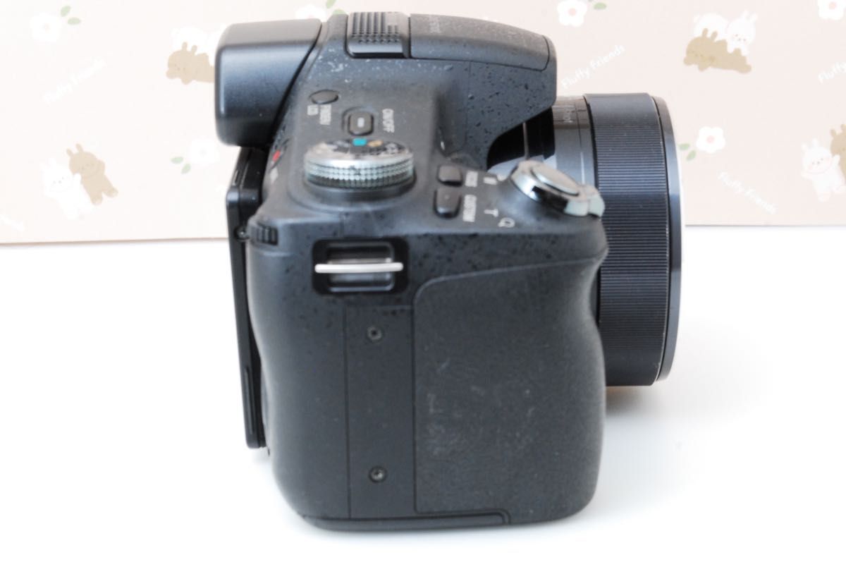 美品 SONY CYBERSHOT DSC-HX100V 超望遠120倍ズーム スマホ転送 美品 SONY CYBERSHOT DSC-HX100V 超望遠120倍ズーム スマホ転送