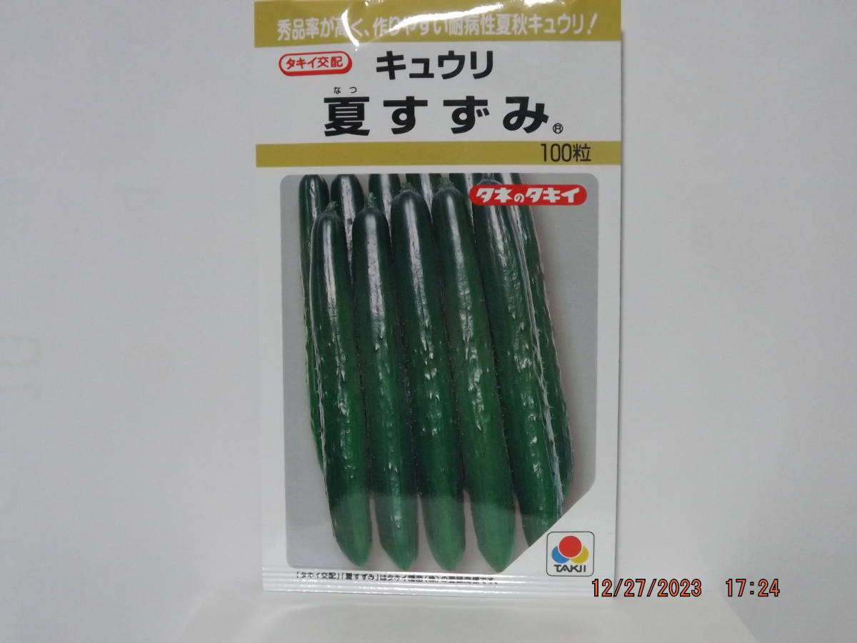 種子　新種　営利用　タキイ交配　夏すずみキュウリ　元詰品　100粒入詰　　1袋　　送料無料_画像2