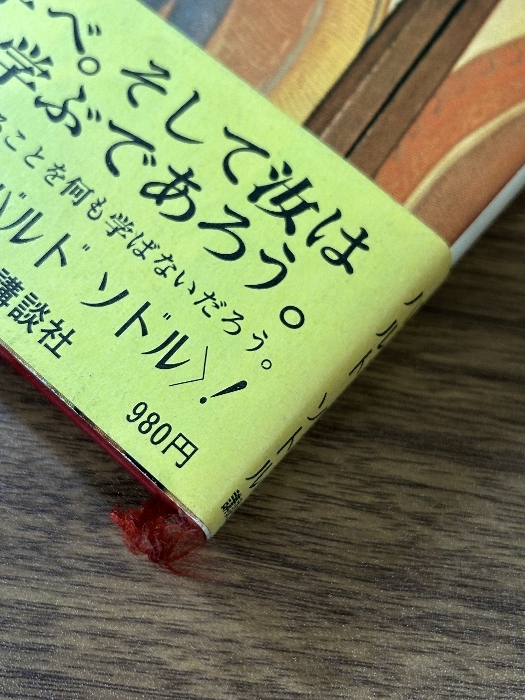 《チベットの死者の書 バルドソドル 訳 おおえまさのり 講談社 帯付き》昭和54年 1979年発行 現状品_画像5