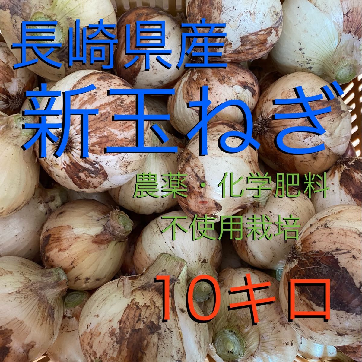 長崎県産　農薬・科学肥料無使用　新玉ねぎ　１０キロ