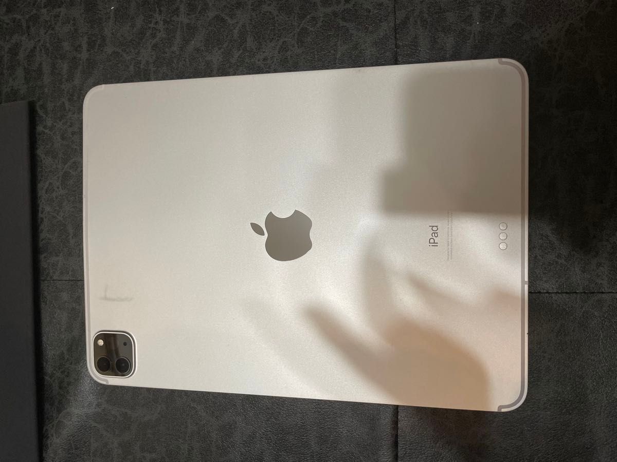 iPad Pro 11インチiPad Pro 2020 Cellular ケース　充電器　同梱