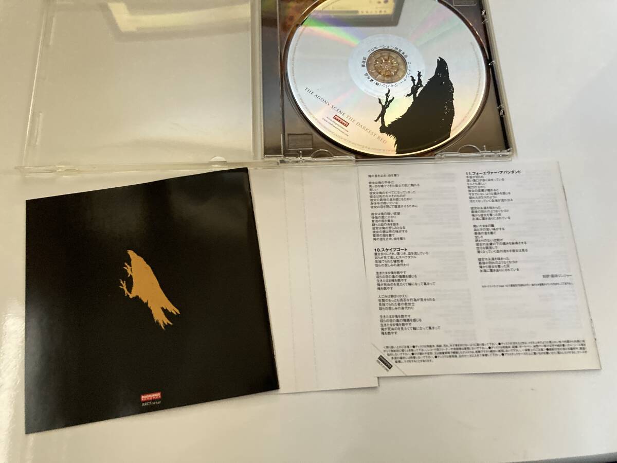 CD 見本盤「THE AGONY SCENE / THE DARKEST RED」ザ・ダーケスト・レッド ジ・アゴニーシーンの画像4