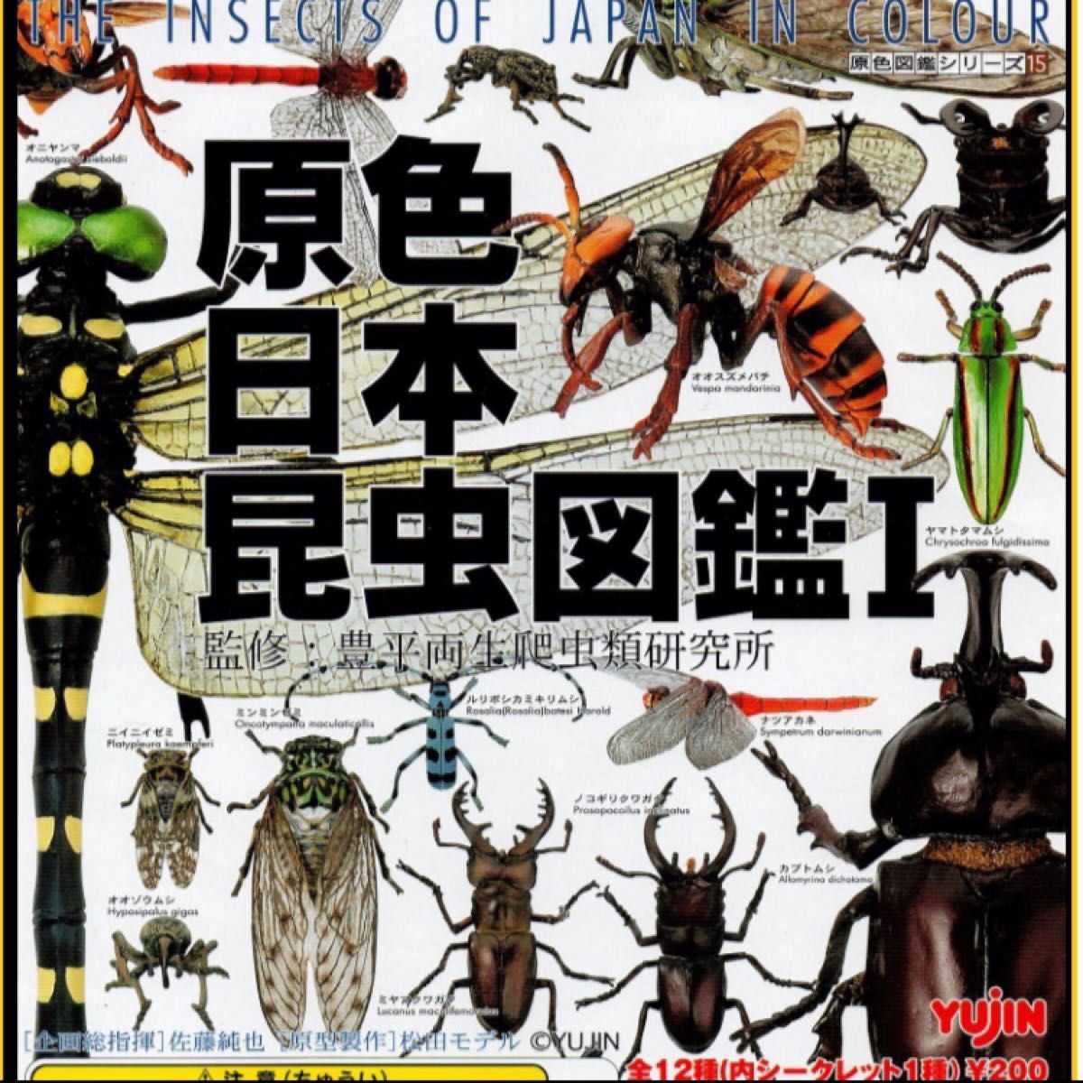 原色日本昆虫図鑑|Yahoo!フリマ(旧PayPayフリマ) 原色日本昆虫図鑑|Yahoo!フリマ(旧PayPayフリマ)