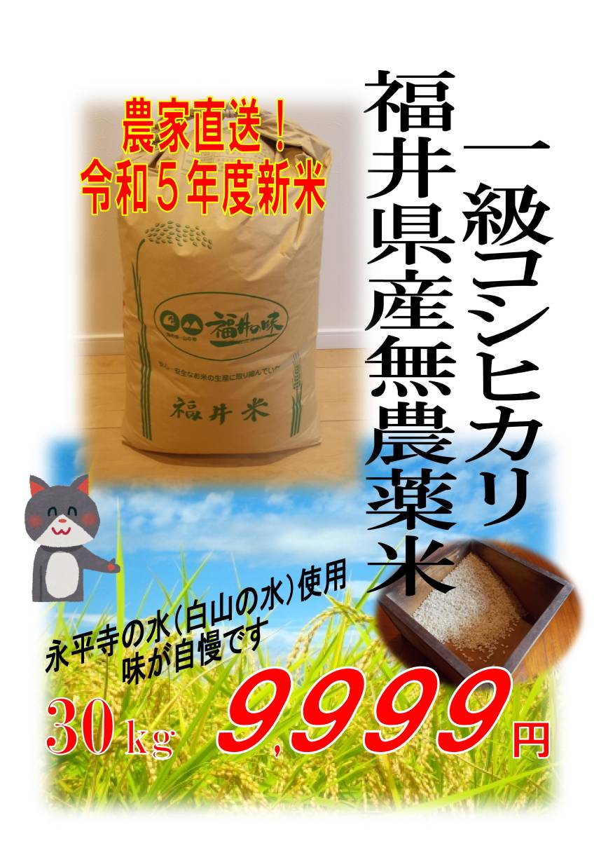 【令和5年度新米】無農薬福井県産１級コシヒカリ★約30kg玄米 ★エコファーマー認定の画像1