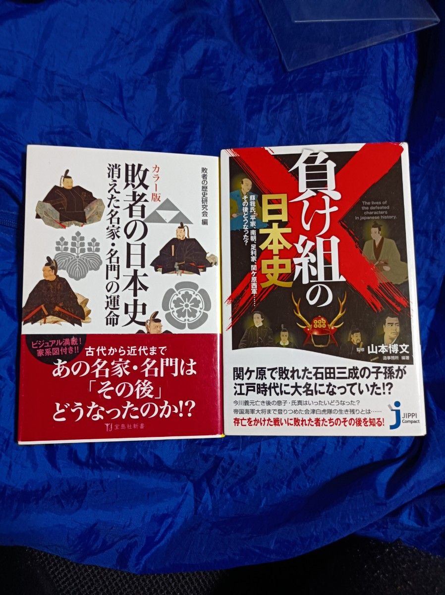 負け組の日本史　蘇我氏、平家、南朝、足利家、関ケ原西軍……その後どうなった？   カラー版 敗者の日本史