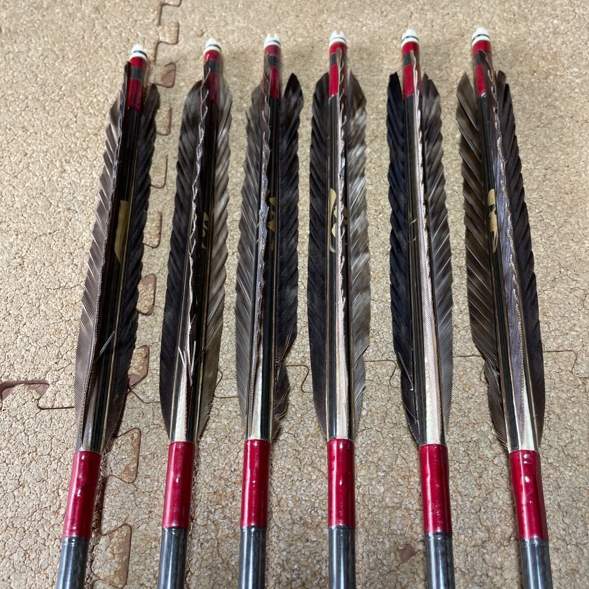  archery carbon arrow . feather 6ps.