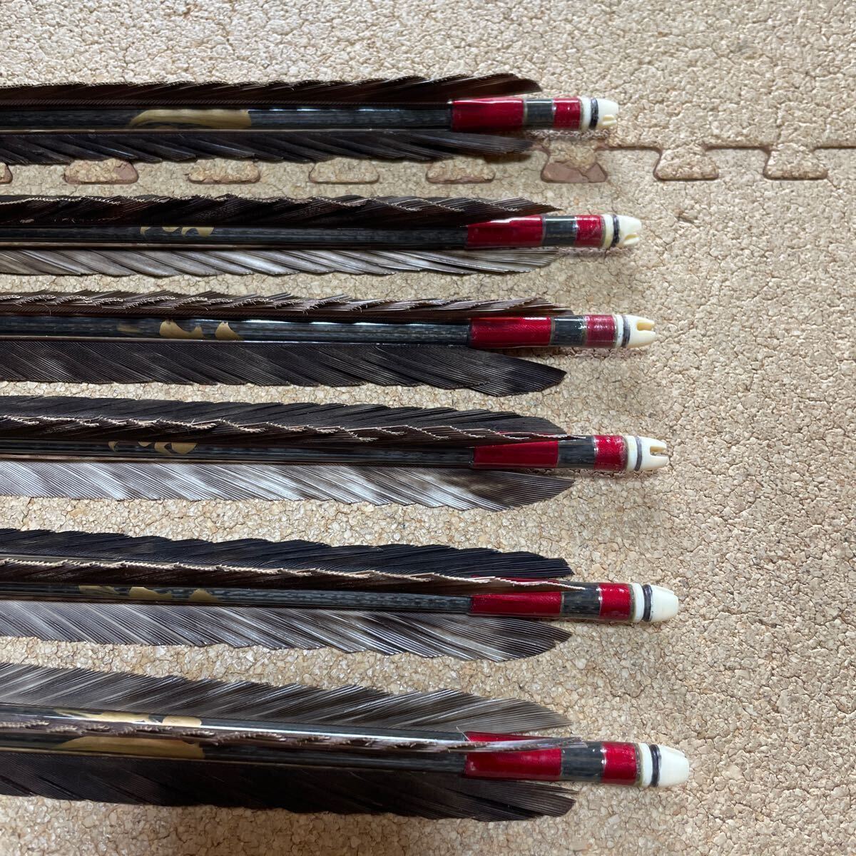  archery carbon arrow . feather 6ps.