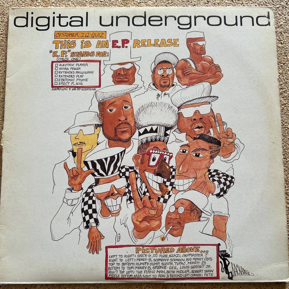 DIGITAL UNDERGROUND / THIS IS AN E.P. / LP レコード_画像1