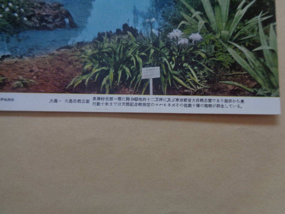 絵葉書 伊豆大島 大島自然公園の画像2