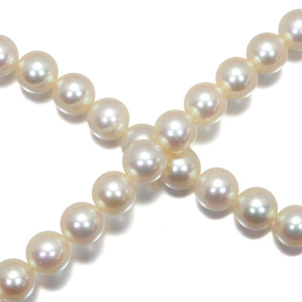  Mikimoto necklace pearl Akoya pearl 6.0-6.5mm K14WG BLJ