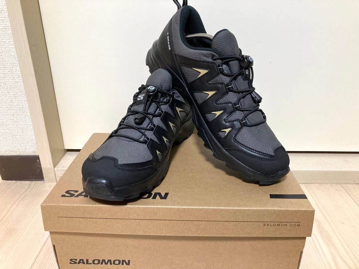 サロモン　SALOMON ハイキング トレッキングシューズ X BRAZE GORE-TEX メンズ　28.0㎝　美品