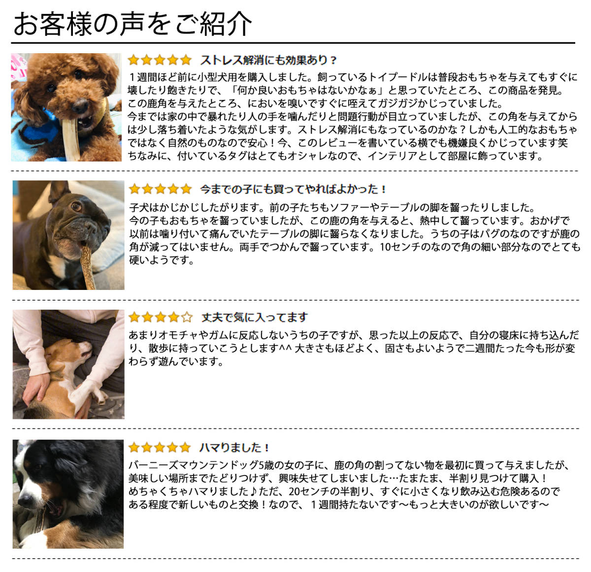 鹿の角 犬 おもちゃ 無添加 おやつ エゾジカ 国産 鹿 角 ガム デンタルケア 大型犬 20cm_画像9