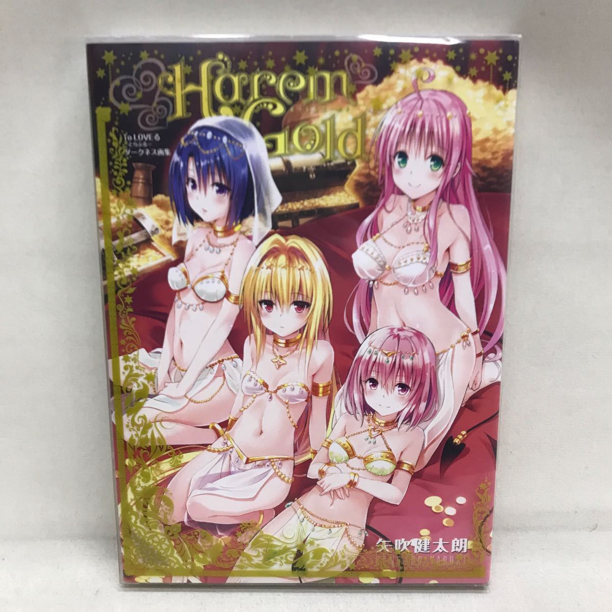 【3S12-135】送料無料To LOVEる 2冊セット ダークネス画集 Harem Gold / とらぶるくろにくる 矢吹健太朗_画像2