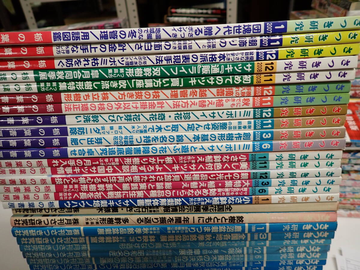 J22Eφ　さつき研究　1987年～2010年　まとめて52冊セット　不揃い　栃の葉書房　_画像2