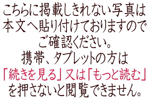 特注 16年製 美品！ダイワ 台下冷蔵庫 サンドイッチタイプ 大容量 ホテルパン 6871CD-R-CK ラーメンうどん具材入れピザ 店舗厨房業務用_画像9