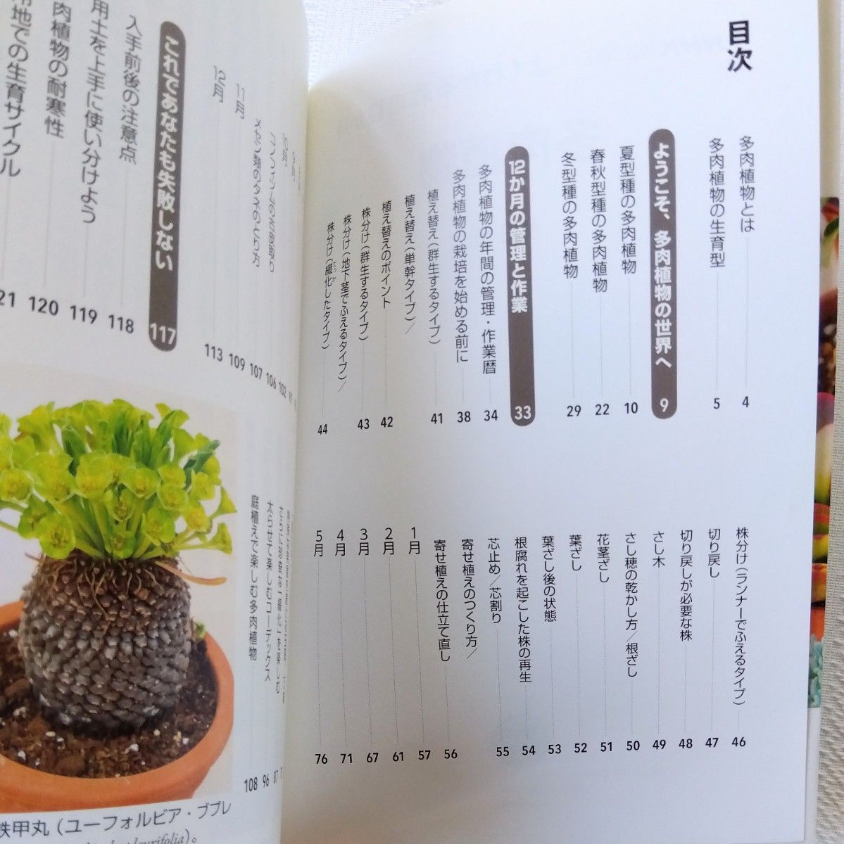 NHK趣味の園芸　よくわかる栽培12か月　多肉植物　長田研