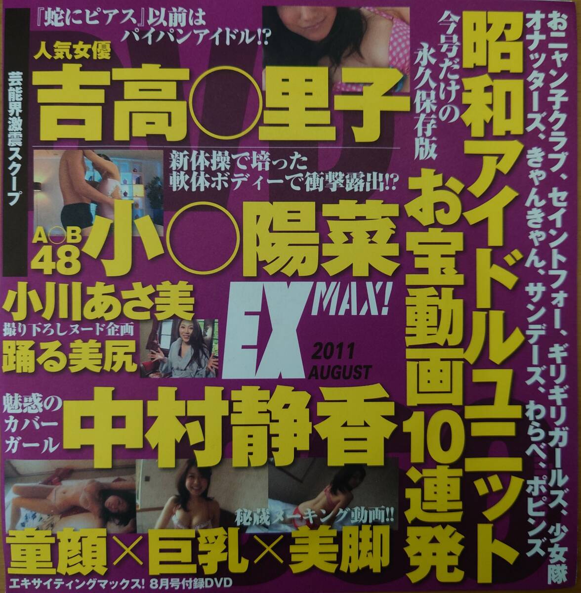 【中村静香】EX MAX(エキサイティングマックス) 2011年8月 付録DVDの画像1