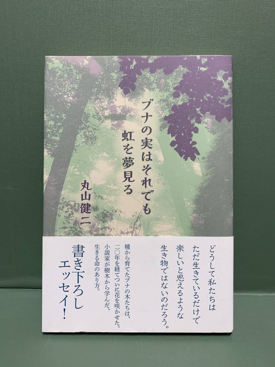 ブナの実はそれでも虹を夢見る　　　著：丸山健二　　　発行：求龍堂