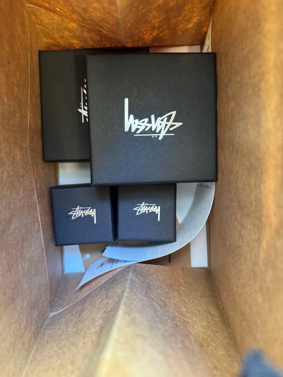Stussy Spring 24 Jewelry Swirly S Chain Necklace Stussy Spring 24 Jewelry Swirly S Chain Necklace