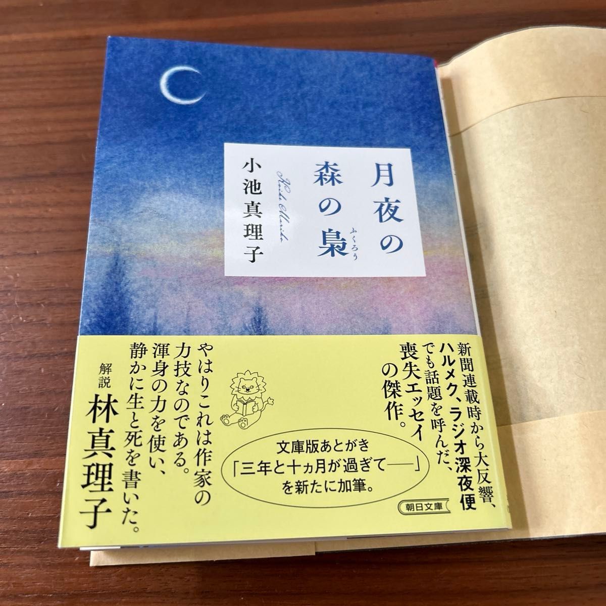 月夜の森の梟 （朝日文庫　こ４４－１） 小池真理子／著