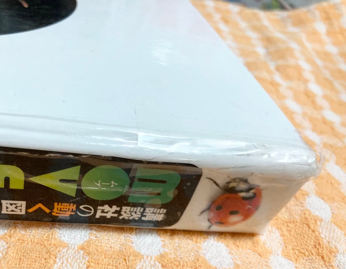 講談社 動く 図鑑 MOVE ムーブ 昆虫  2011年 第1刷 発行 傷 やぶれあり カブトムシ クワガタ 幼児 小学校 