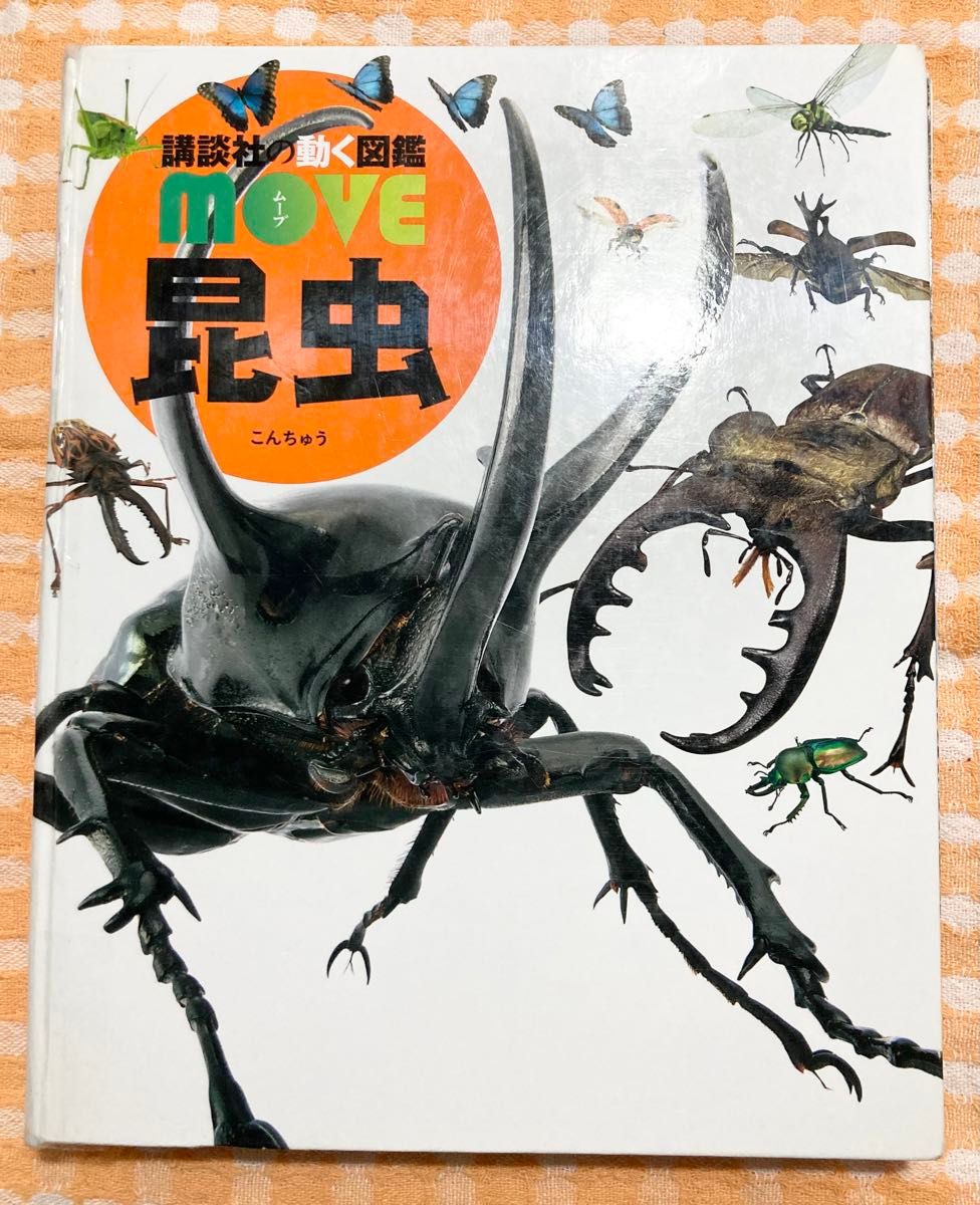 講談社 動く 図鑑 MOVE ムーブ 昆虫  2011年 第1刷 発行 傷 やぶれあり カブトムシ クワガタ 幼児 小学校 