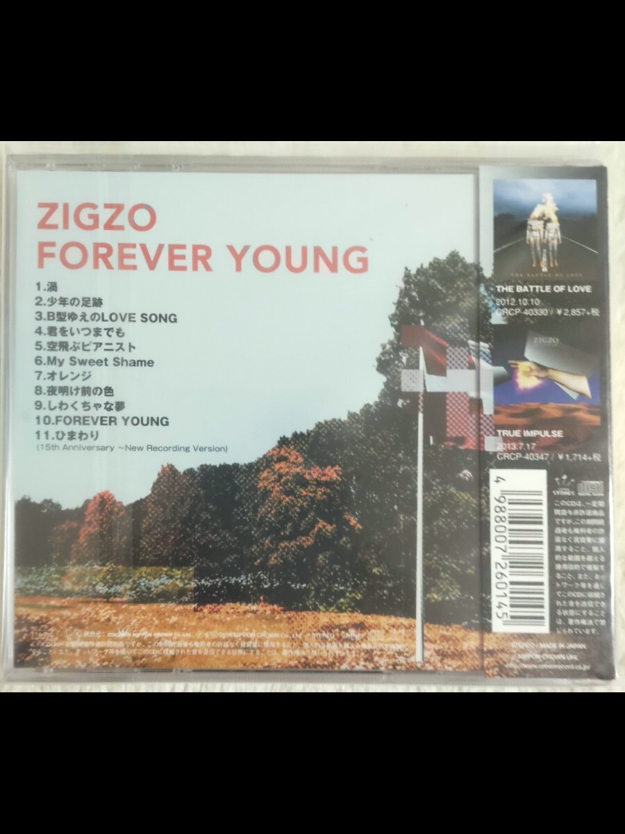 ZIGZO/FOREVER YOUNG/日本クラウン CRCP40380 BY-SEXUAL L'Arc～en～Ciel　MALICE MIZER　tetsu RYO DEN sakura gibkiy gibkiy gibkiy　_画像2