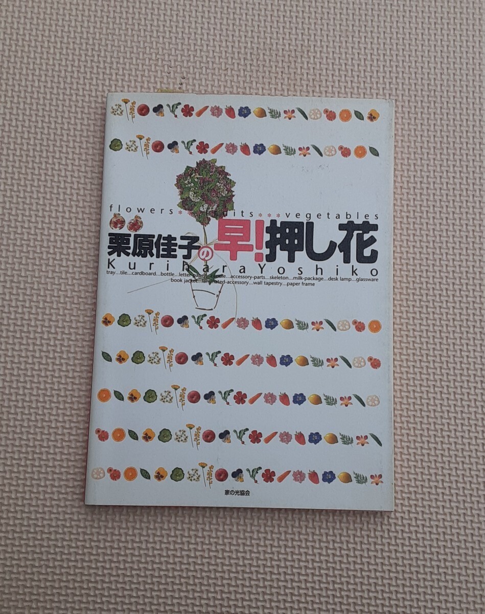 栗原佳子の 早！押し花 2001年 発行 レトロ 趣味 本 家の光 協会 きほん かざる おしゃれ もちあるく_画像1