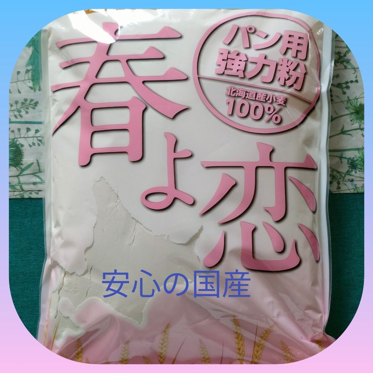 北海道産小麦　強力粉　春よ恋　1kg 1袋　パン用小麦粉　安心の国産
