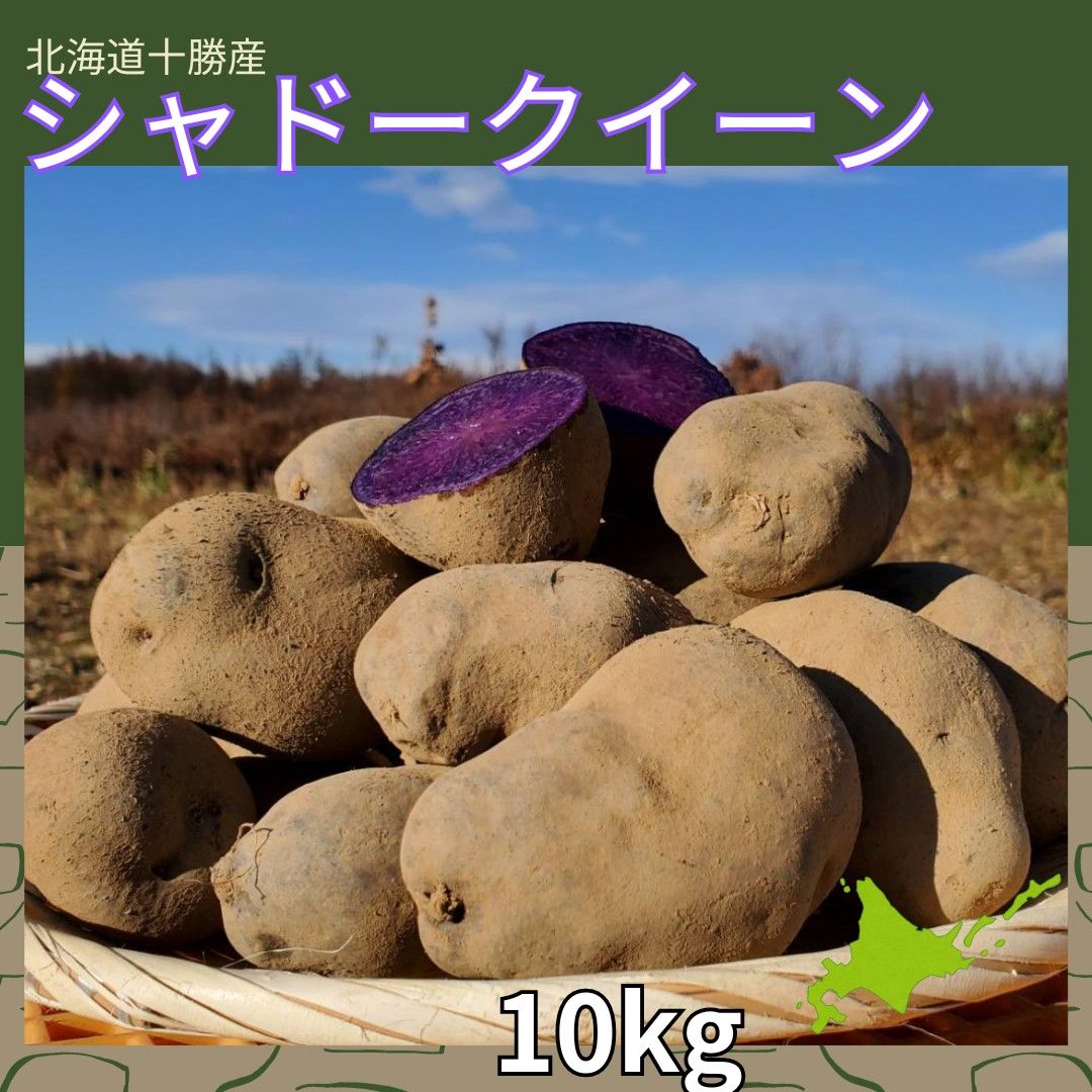 【10kg】北海道産　じゃがいも　 シャドークイーン