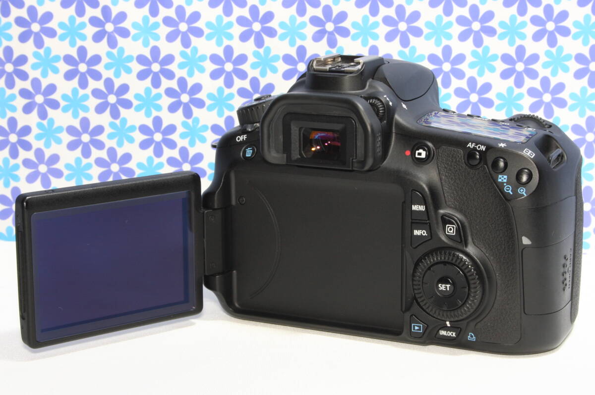 極上美品 キャノン Canon EOS 60D ダブルズームキット 高画質 動画撮影
