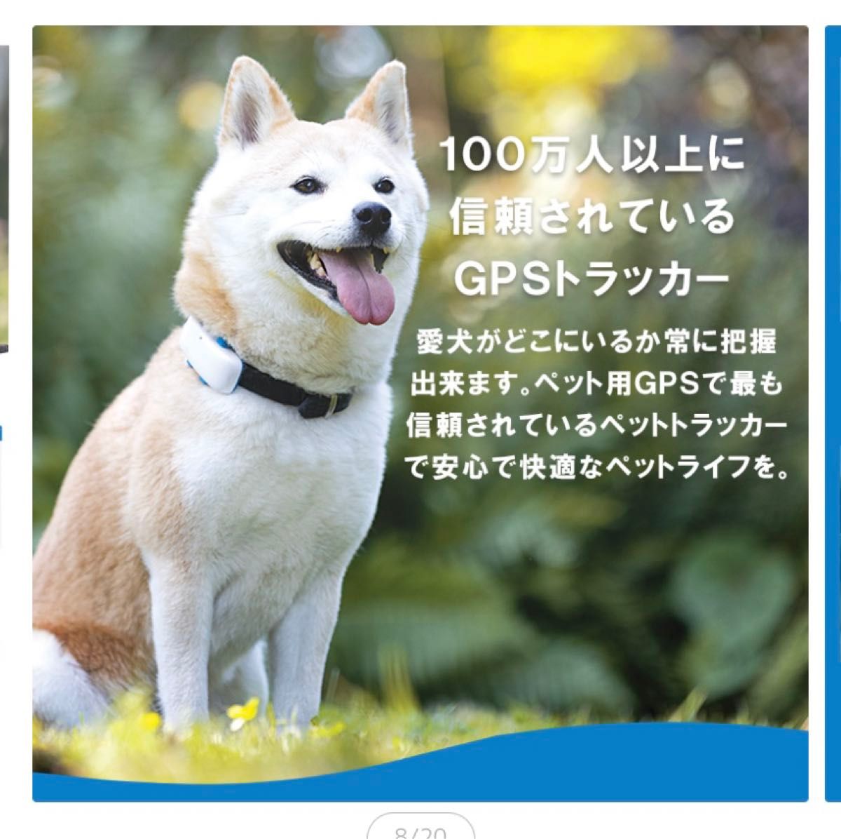 GPS   ペット専用GPS 犬猫兼用　ペットトラッカー　